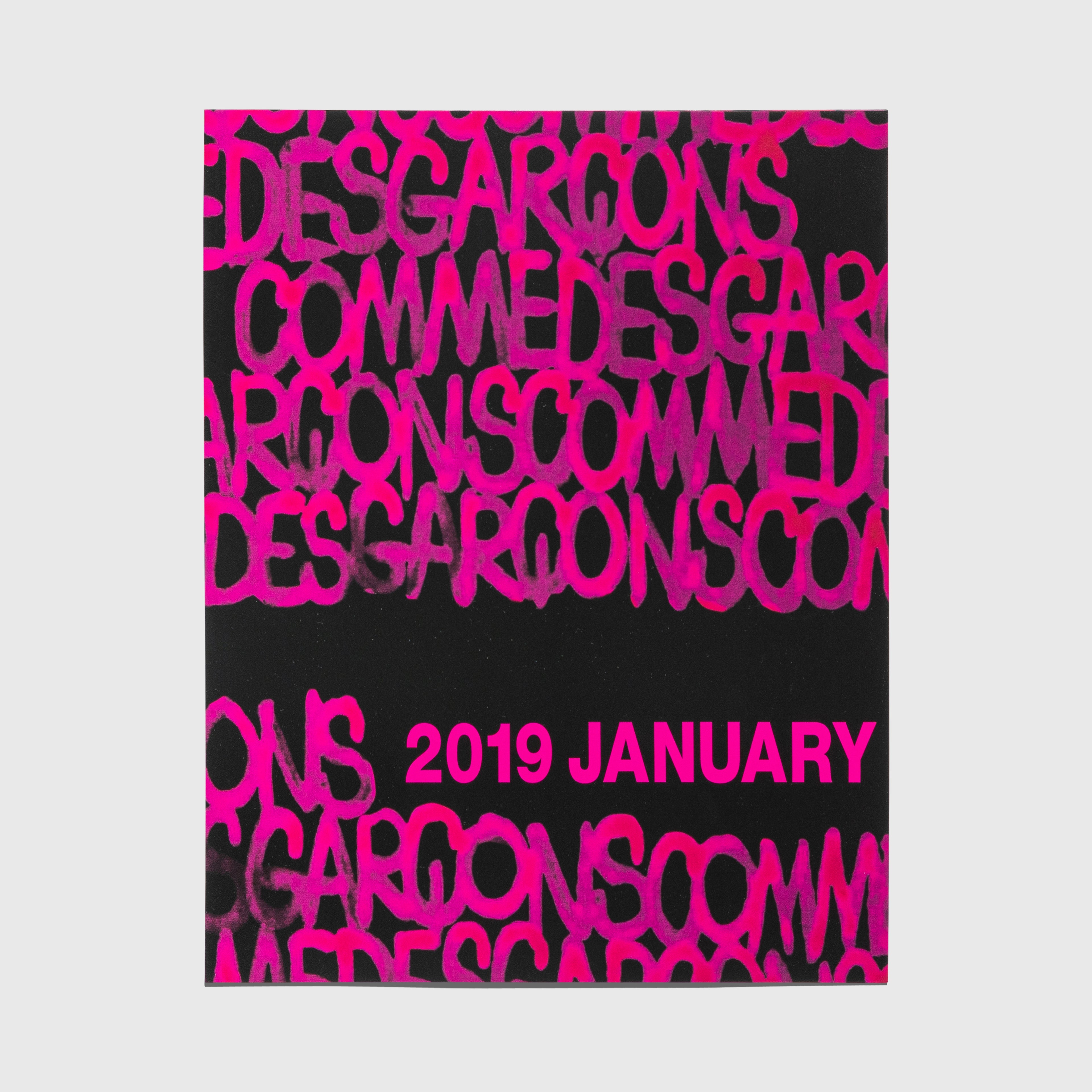 COMME DES GARÇONS SPRING SUMMER 2019 MAILERS