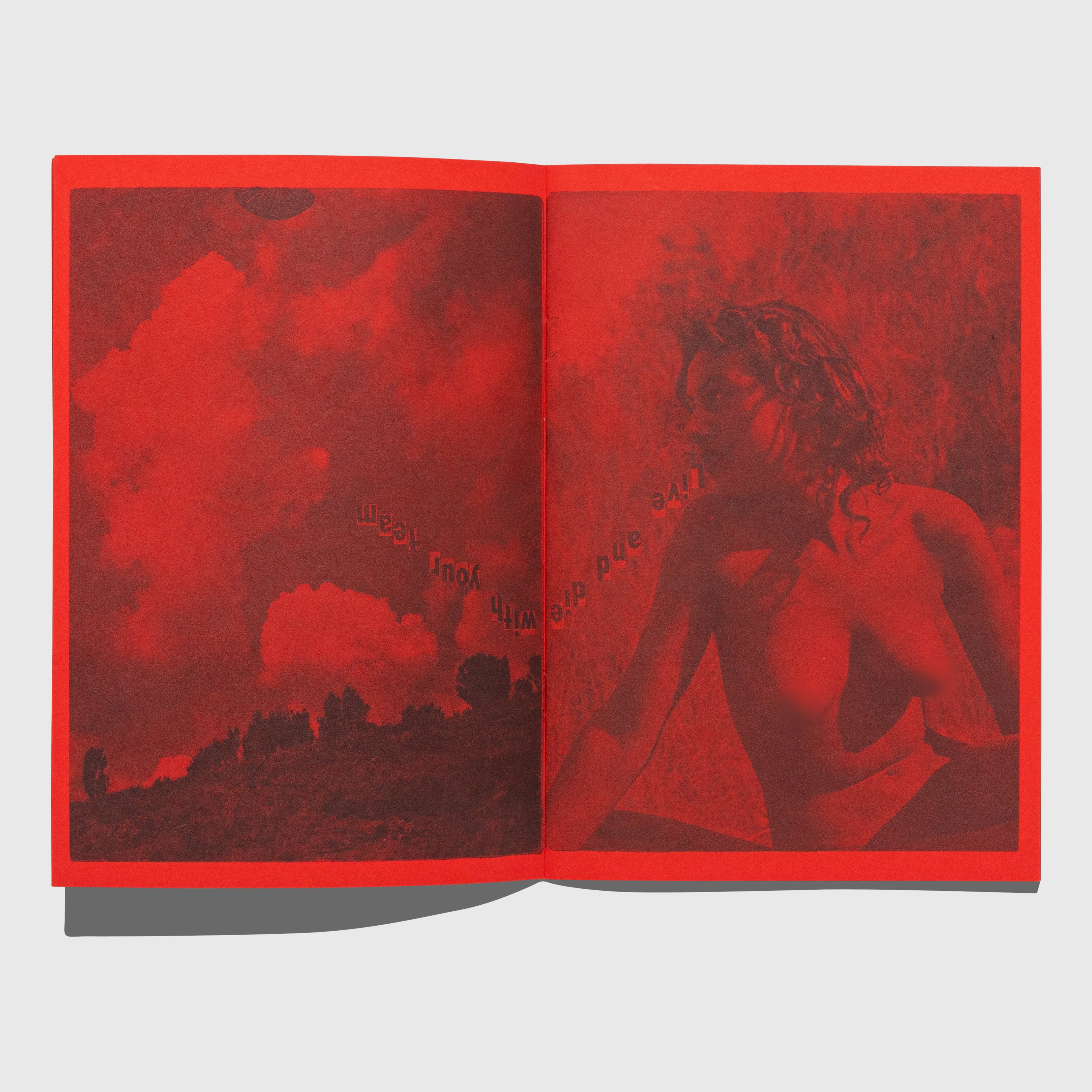 SELECTED WORKS FROM 2001 TO 2009 BY DASH SNOW
