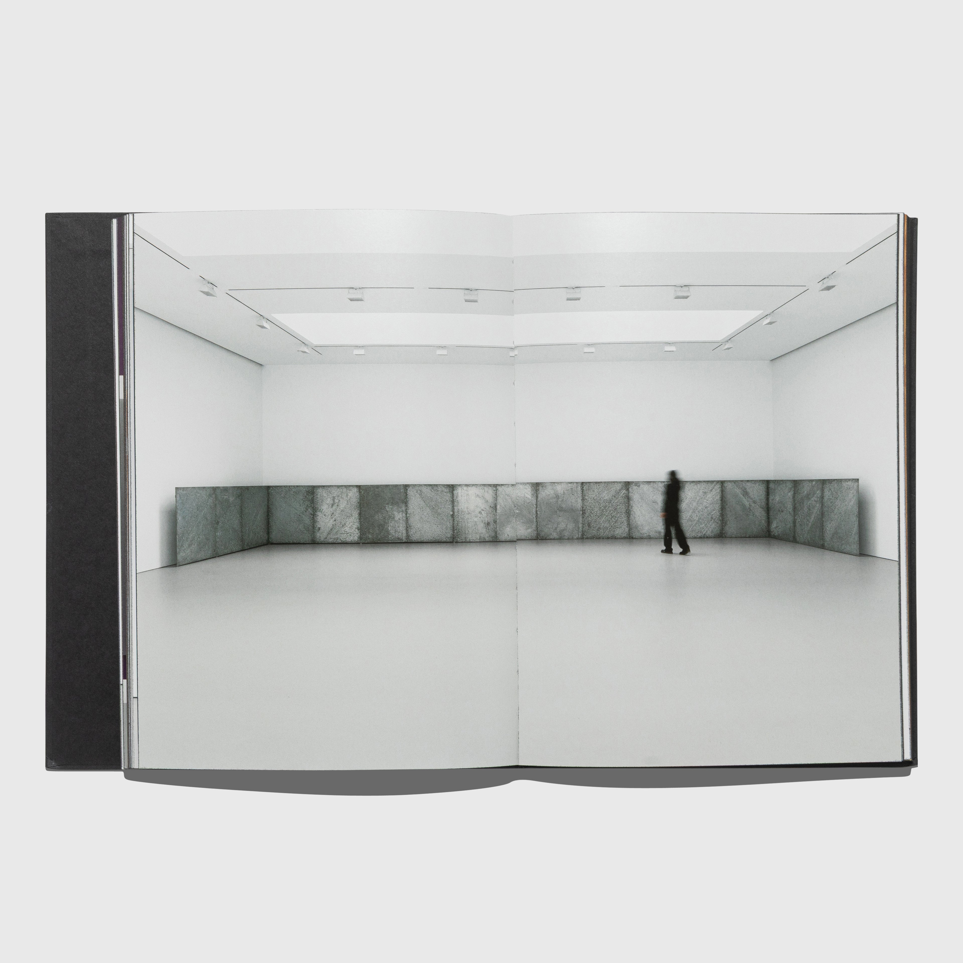 DONALD JUDD: ARTWORKS 1970–1994 BY DONALD JUDD