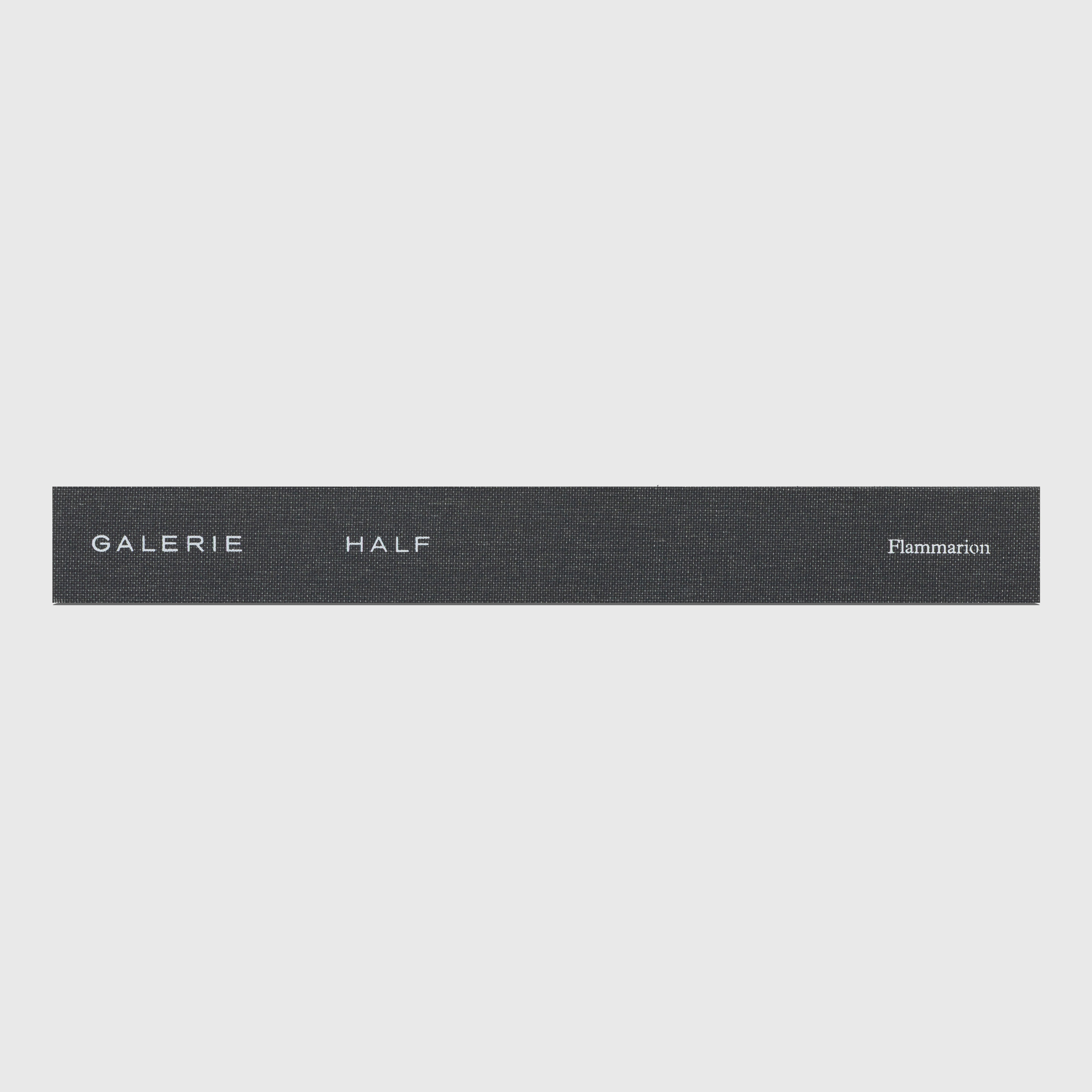 SELECTED WORKS / SPACES BY GALERIE HALF