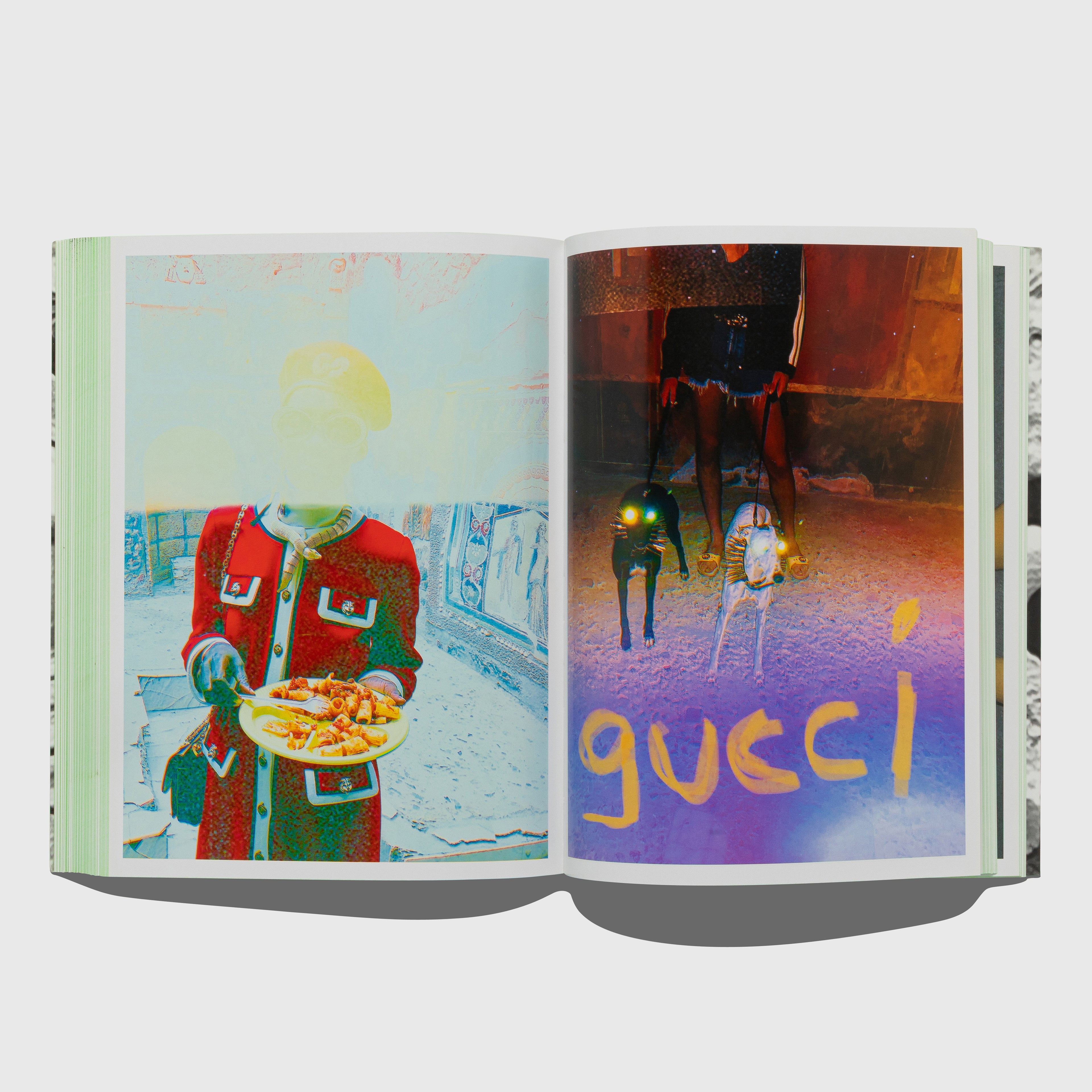 GUCCI BY HARMONY KORINE