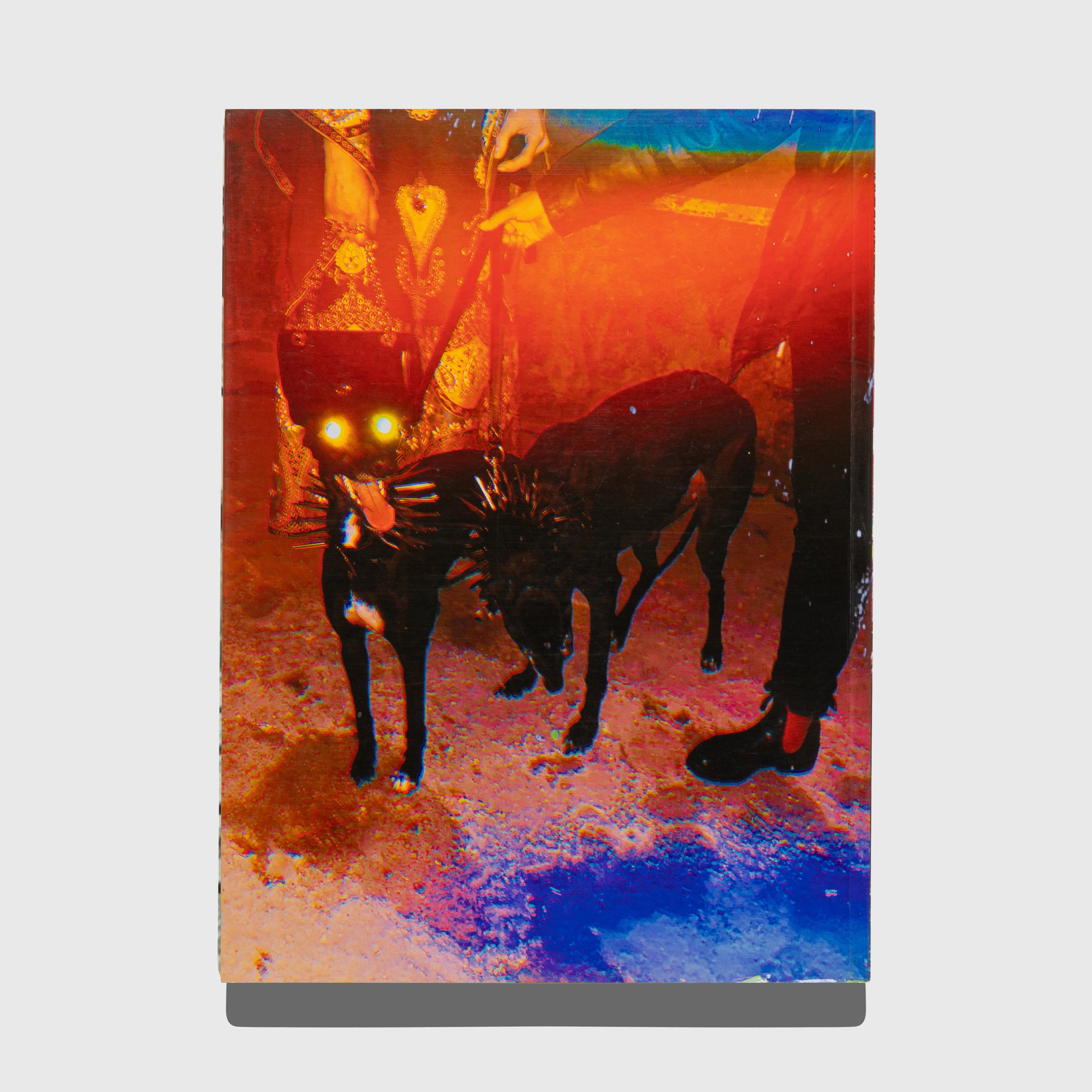 GUCCI BY HARMONY KORINE