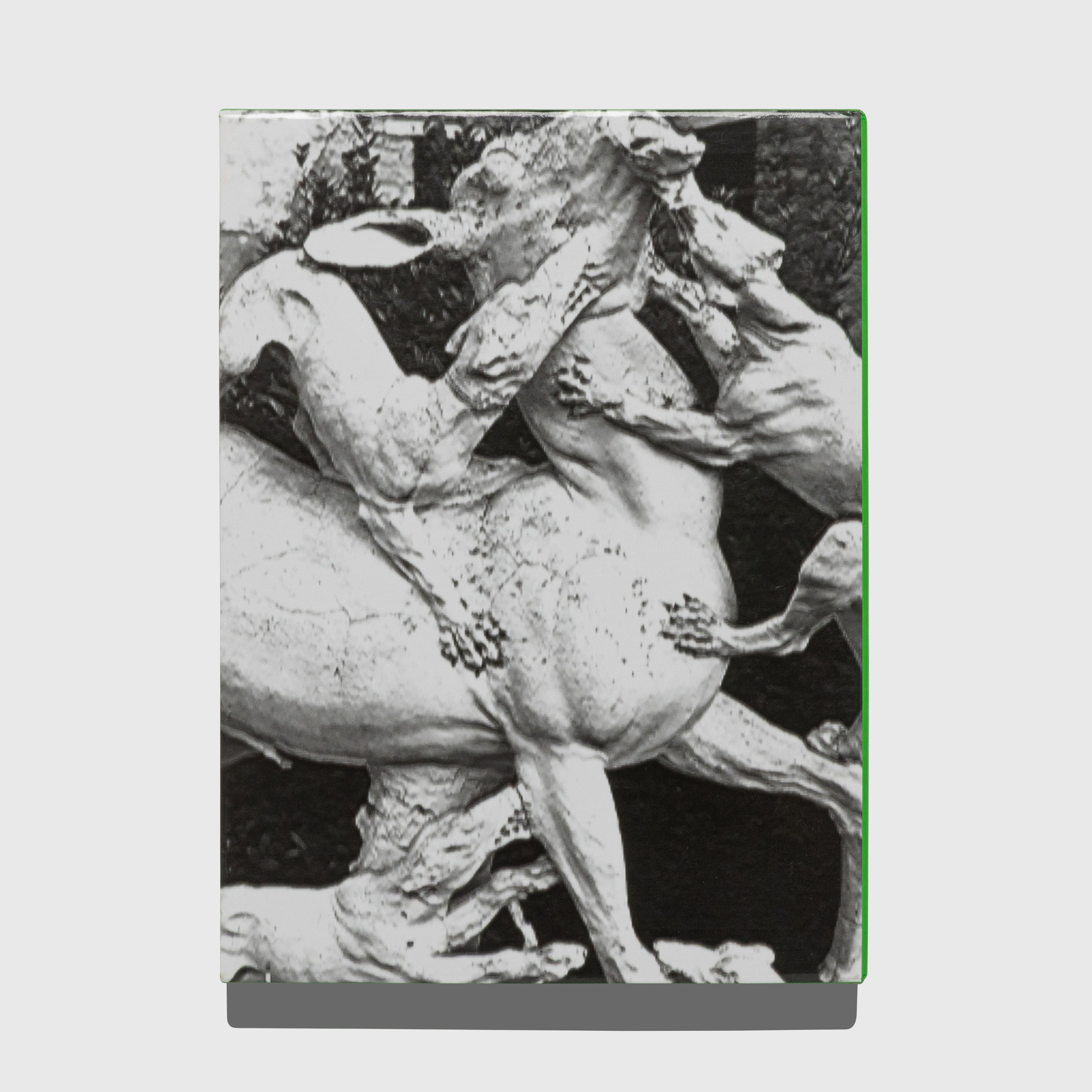 GUCCI BY HARMONY KORINE