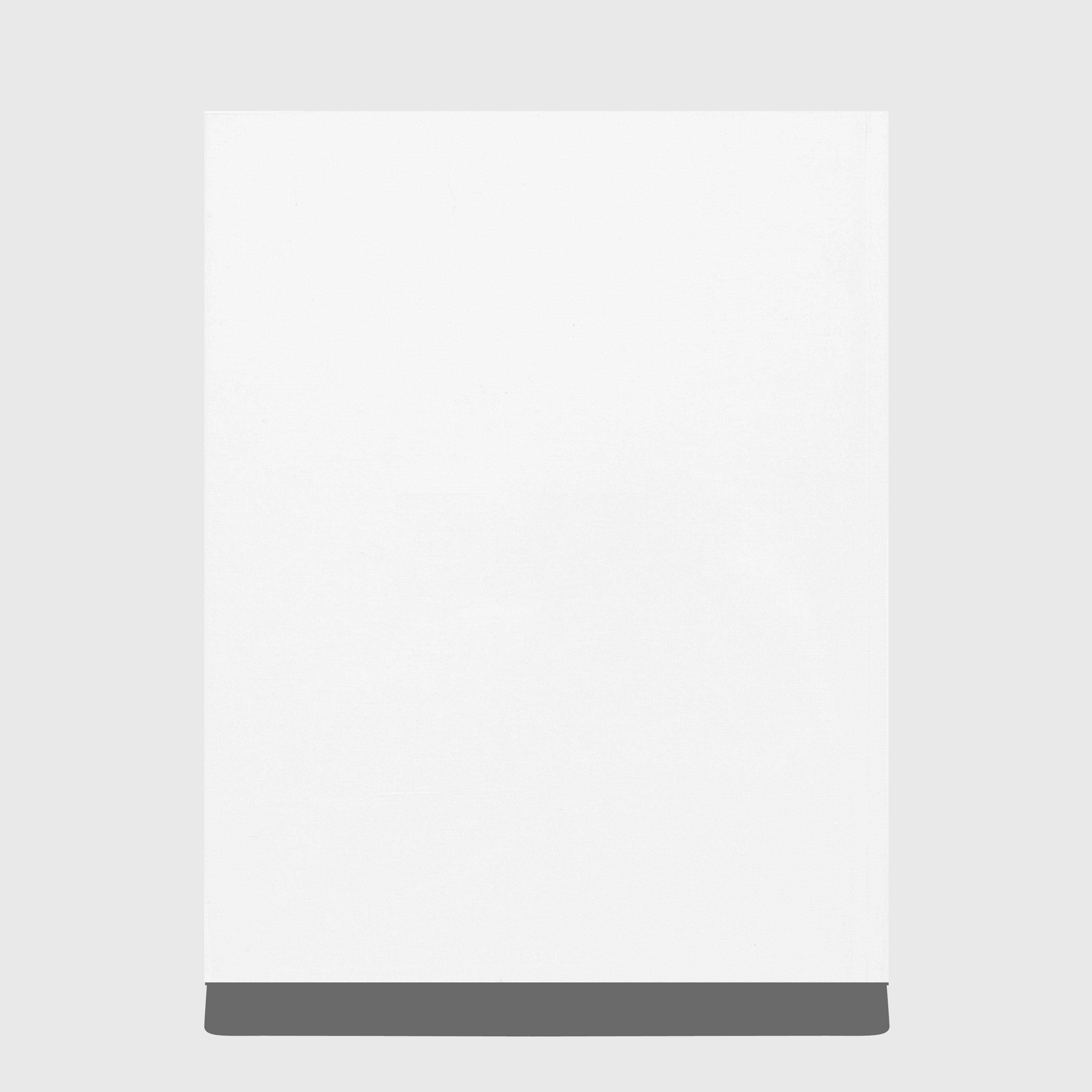 NEST BY DASH SNOW AND DAN COLEN