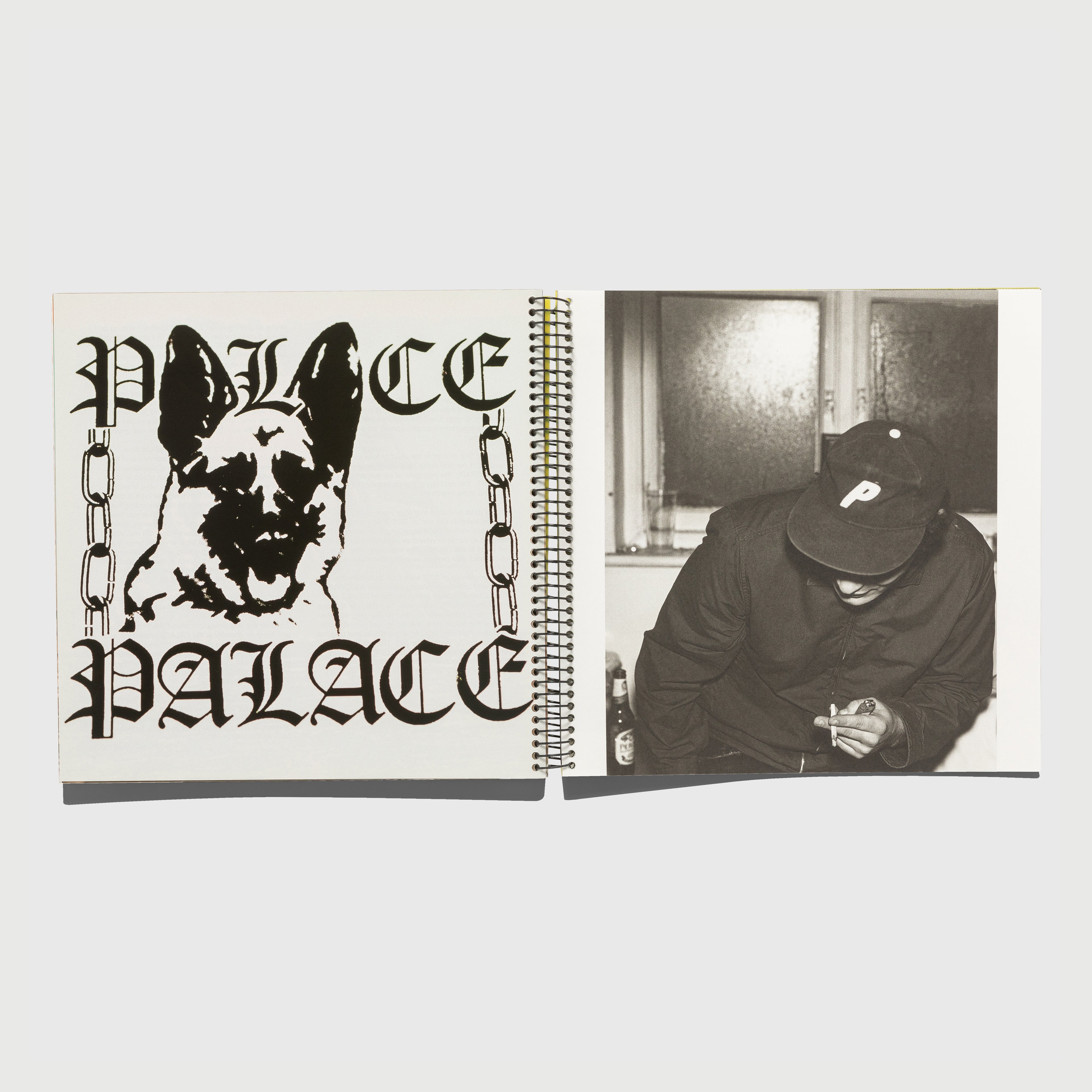THE PALACE BY ALASDAIR MCLELLAN