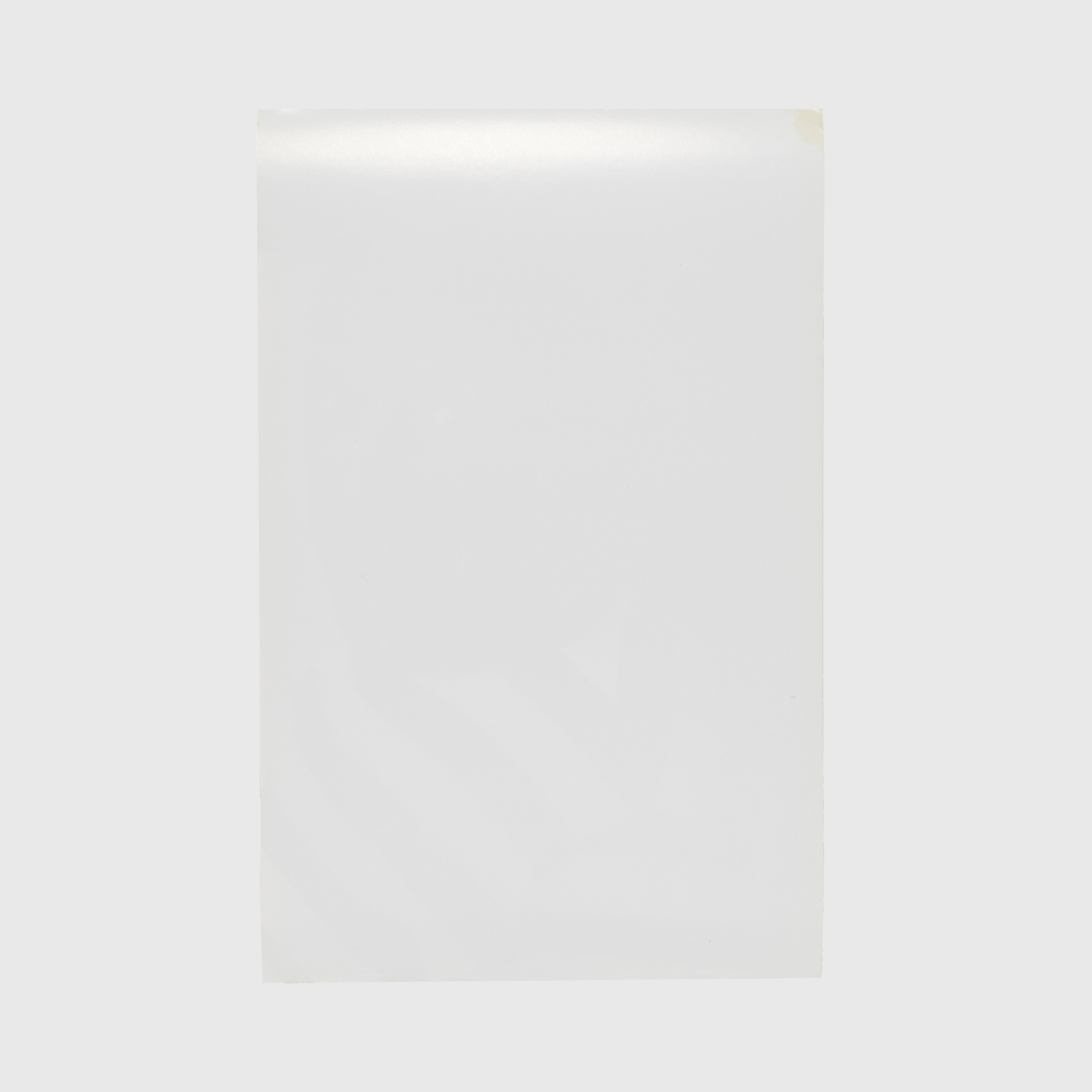 PABLO PICASSO BY APPLE "GENIUS" THINK DIFFERENT POSTER