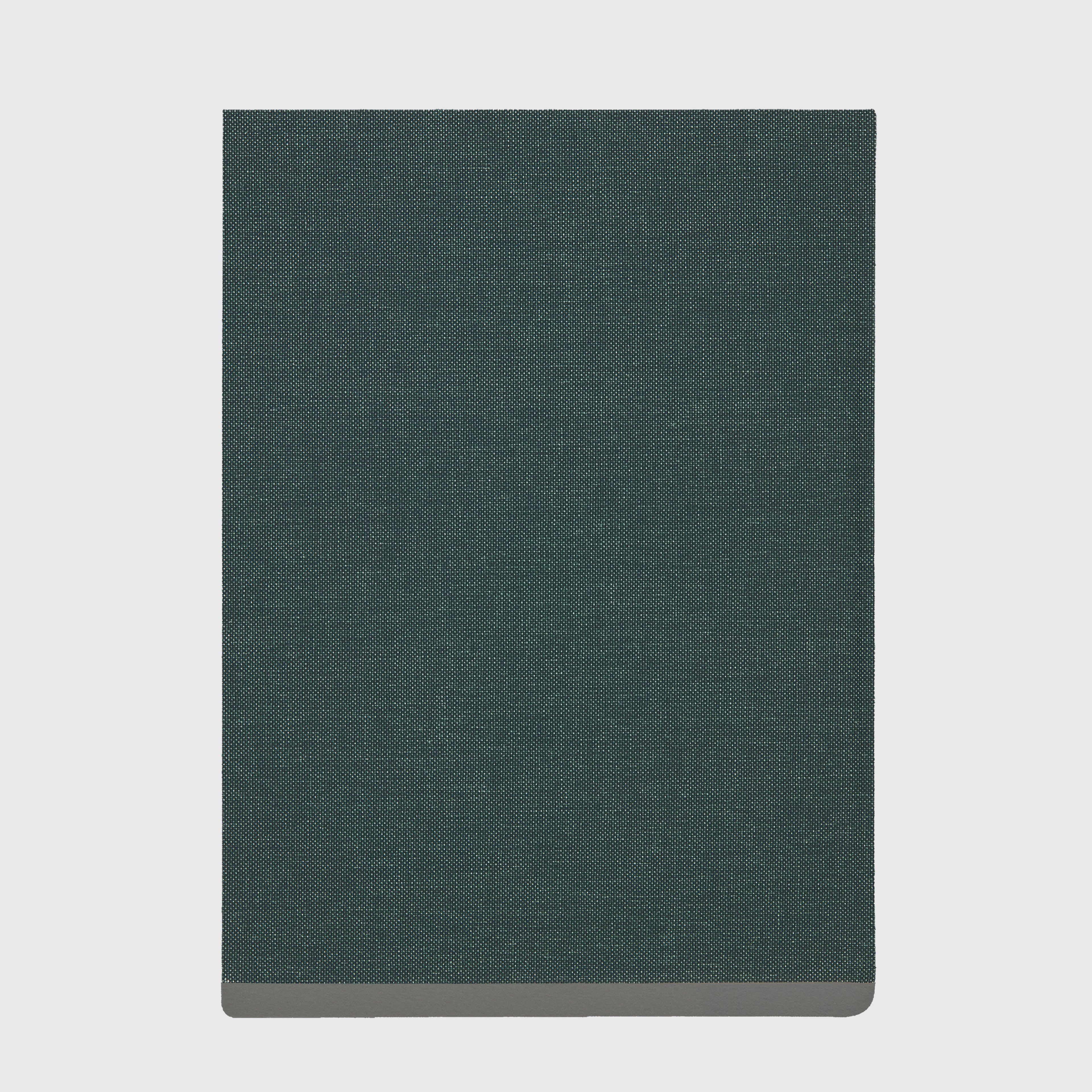 Book titled 'Purienne' curated by Anthony Vaccarello for YSL SL Editions with a dark green cover and black and white photo