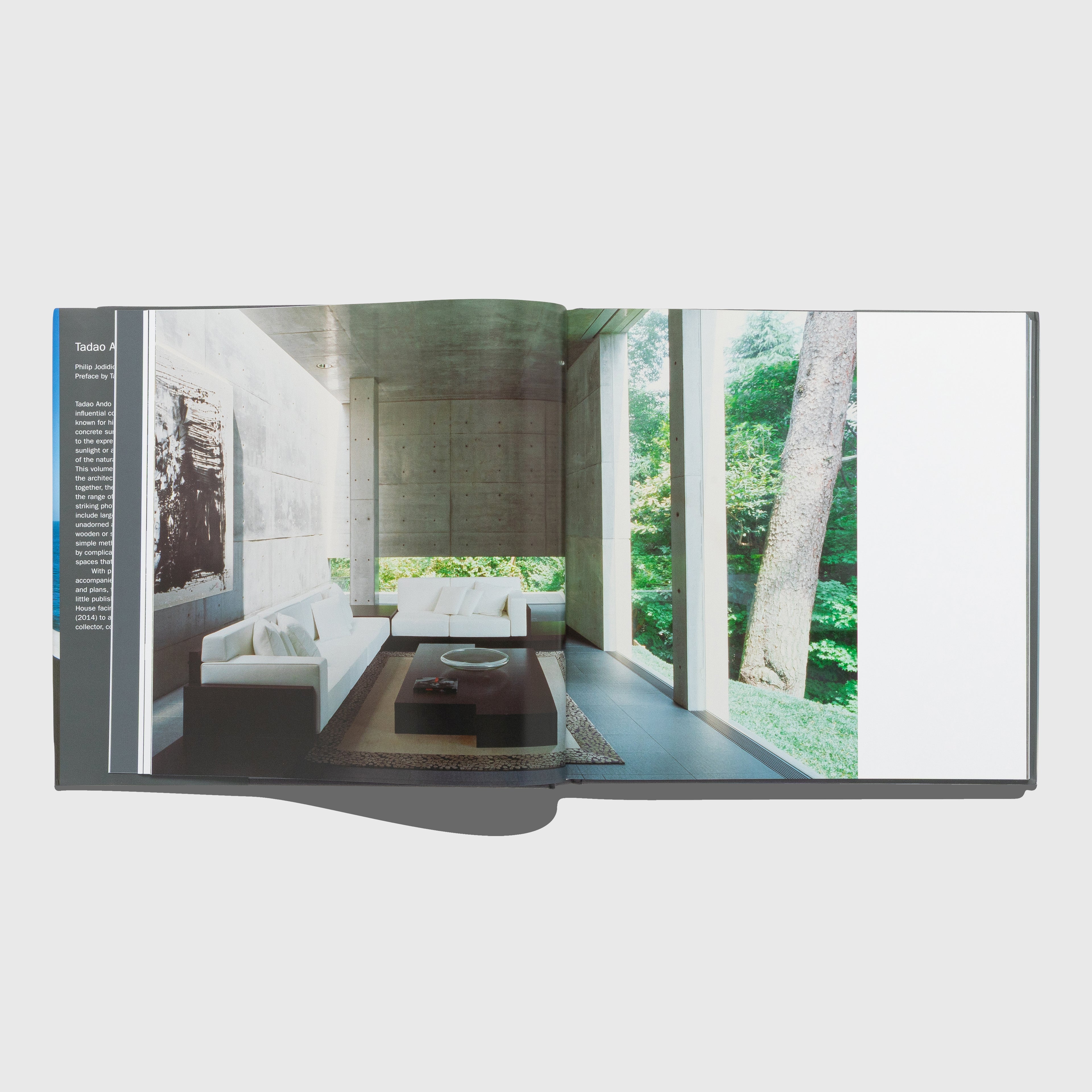 TADAO ANDO: LIVING WITH LIGHT