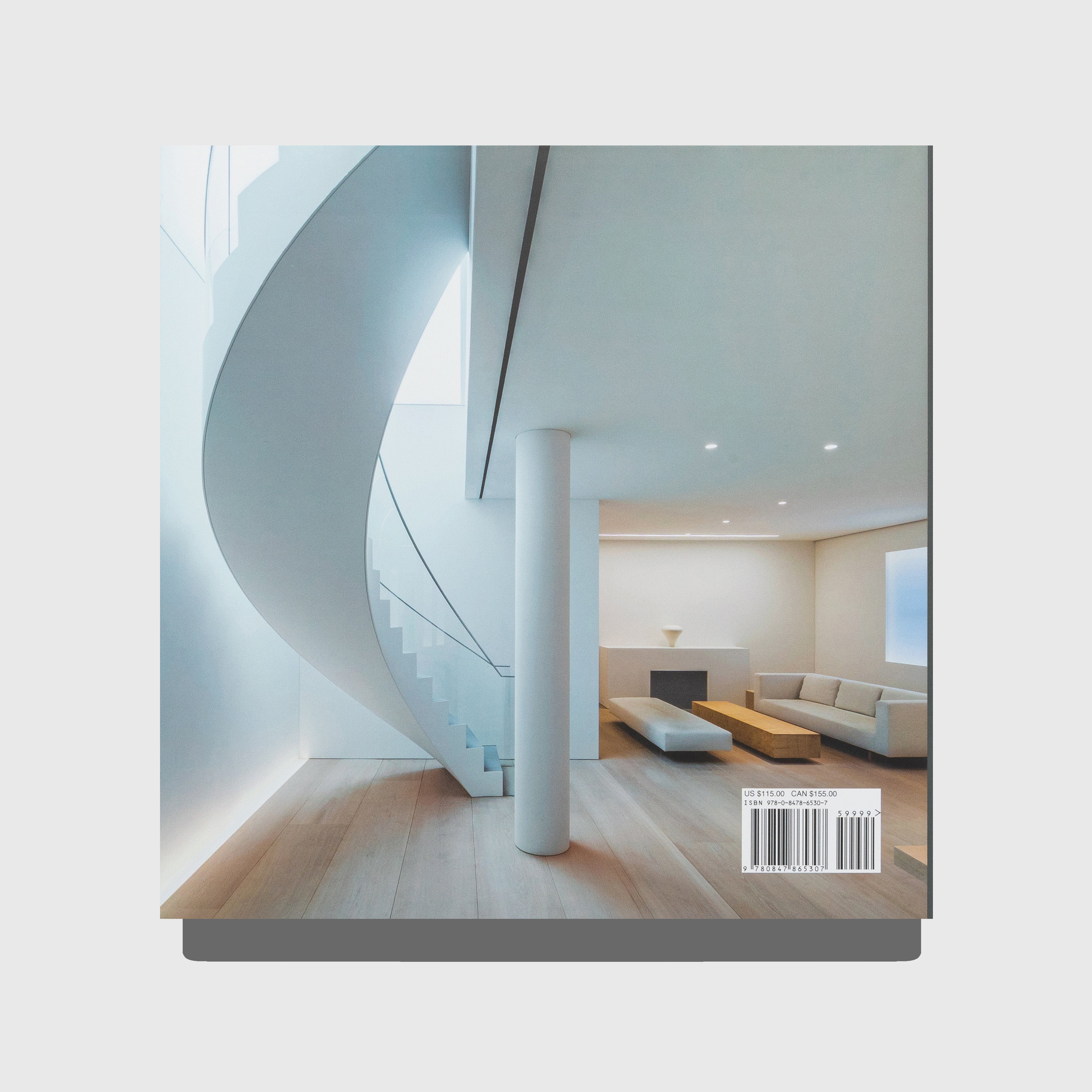 TADAO ANDO: LIVING WITH LIGHT
