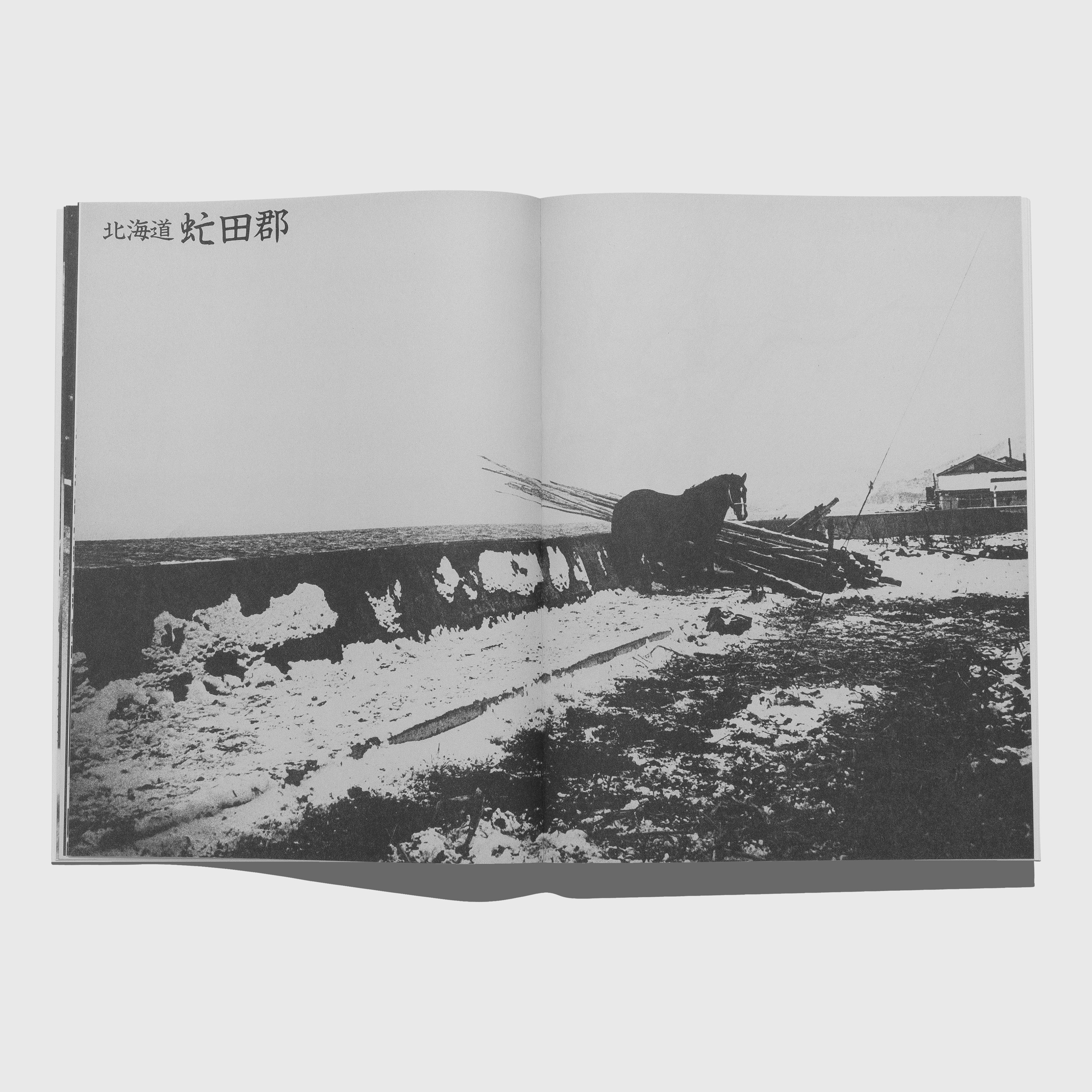 Open book showing a black and white photograph of a horse and wreckage on a snowy ground. Daido Moriyama photography Shashin Jidai 1981-1988 book.