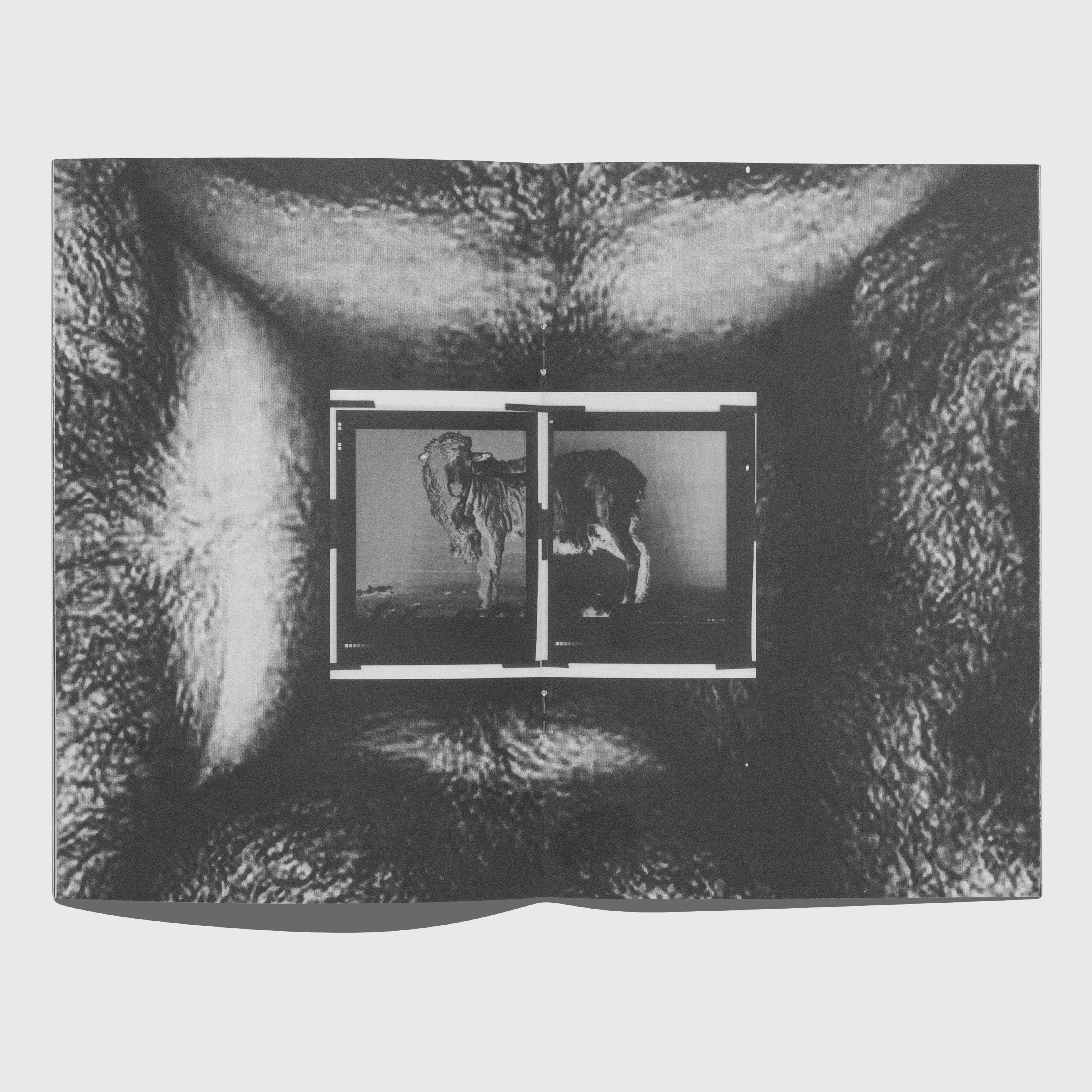 BURRY BY HELMUT LANG