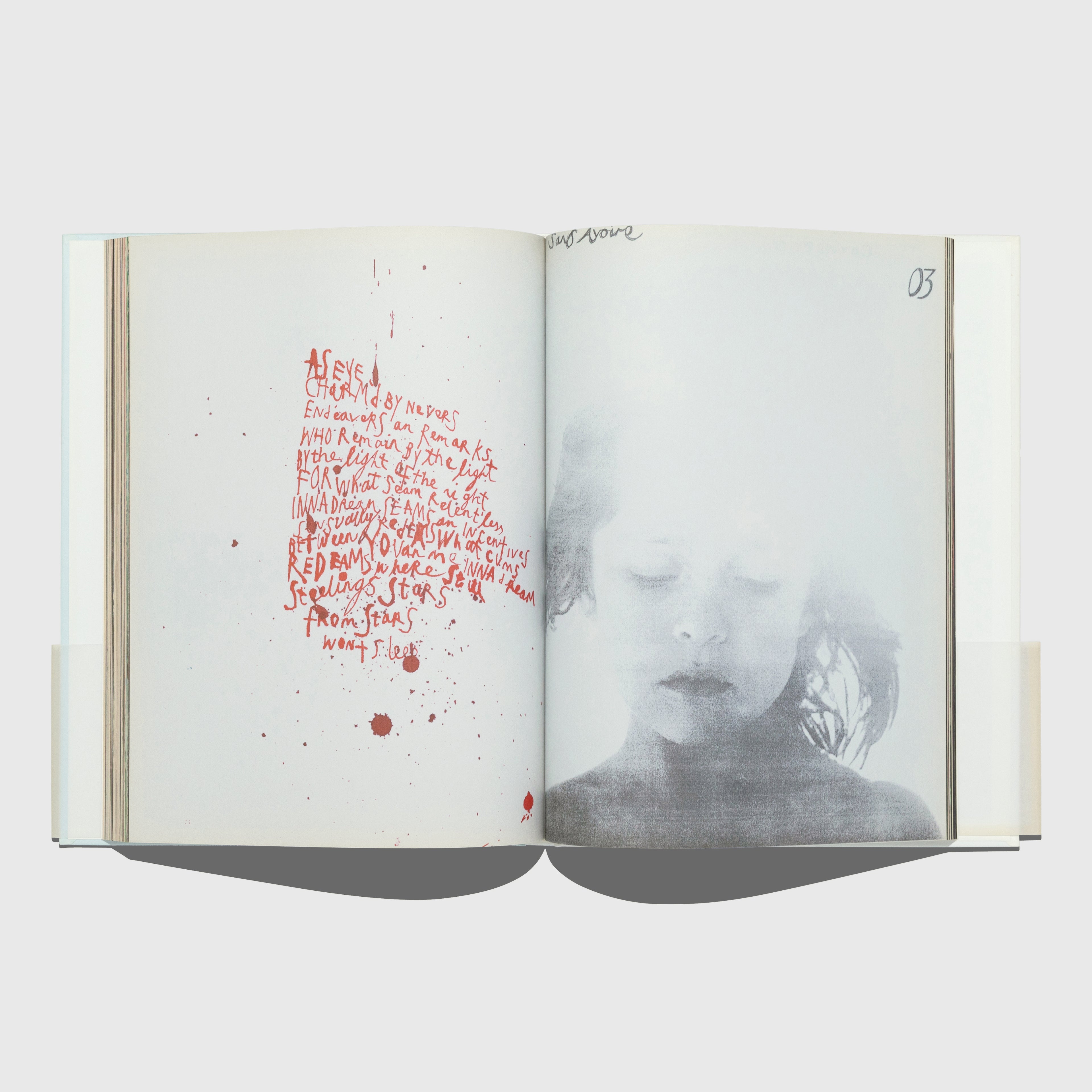 THE HEARTLAND BY MARK BORTHWICK