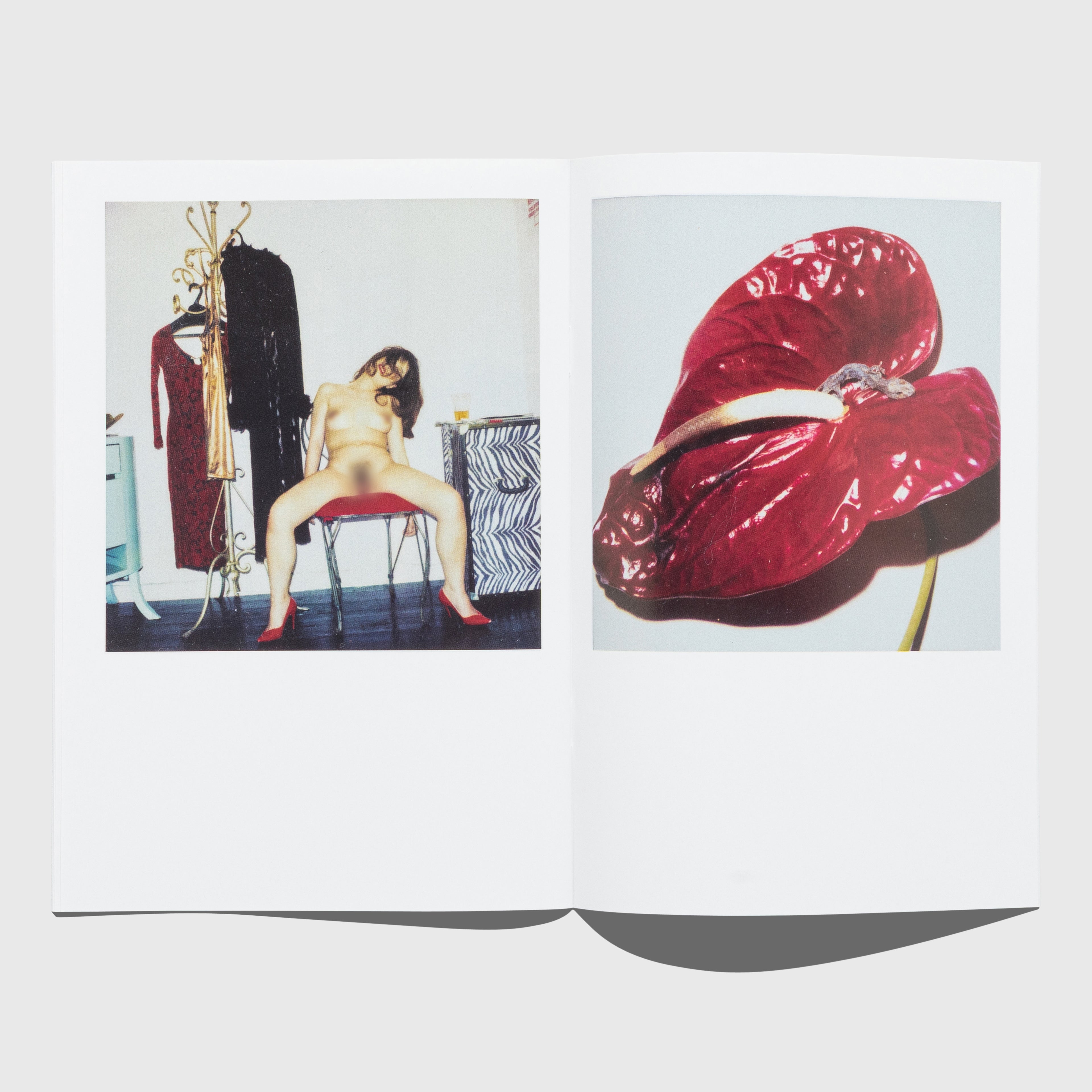 UNTITLED BY NOBUYOSHI ARAKI