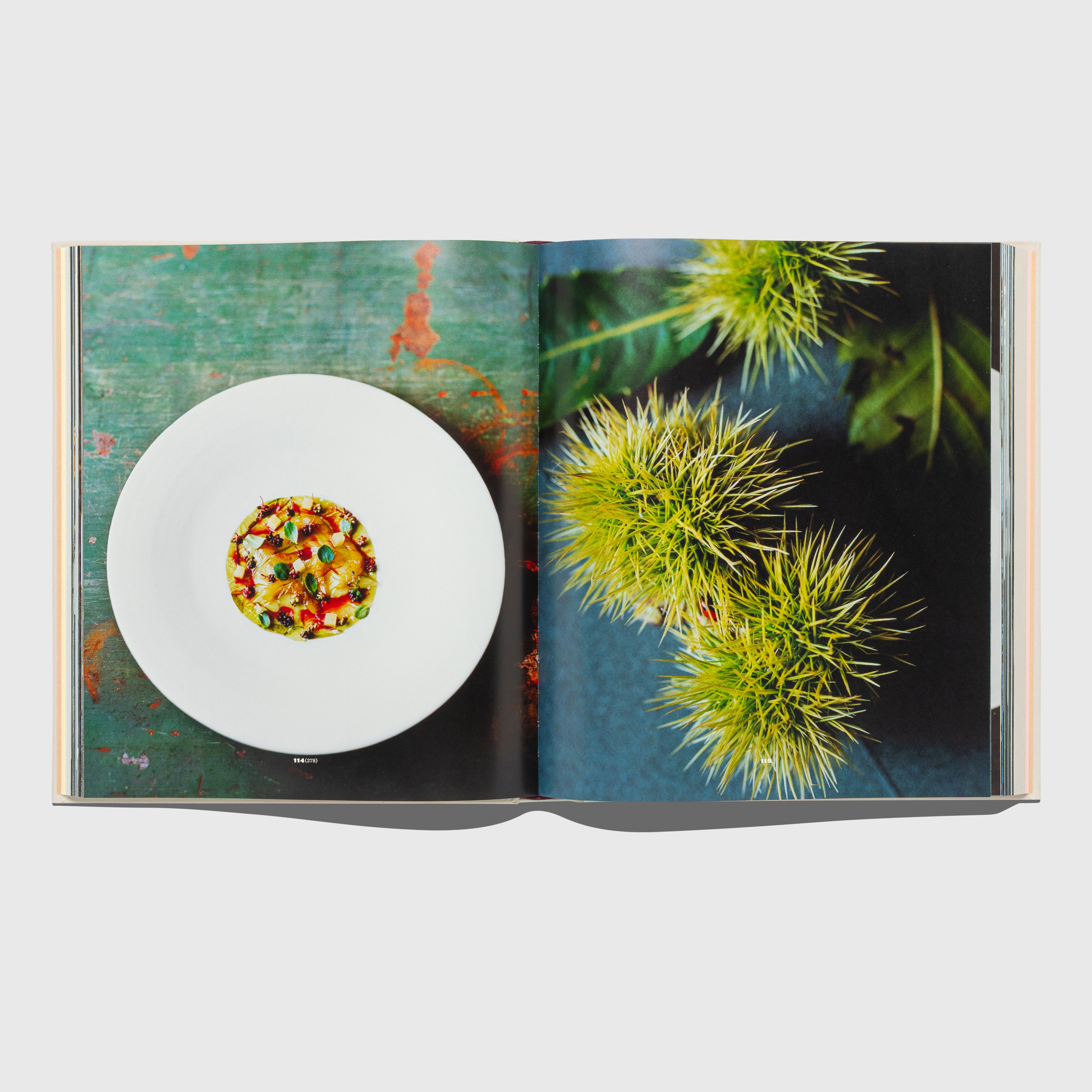 NOMA: TIME AND PLACE IN NORDIC CUISINE