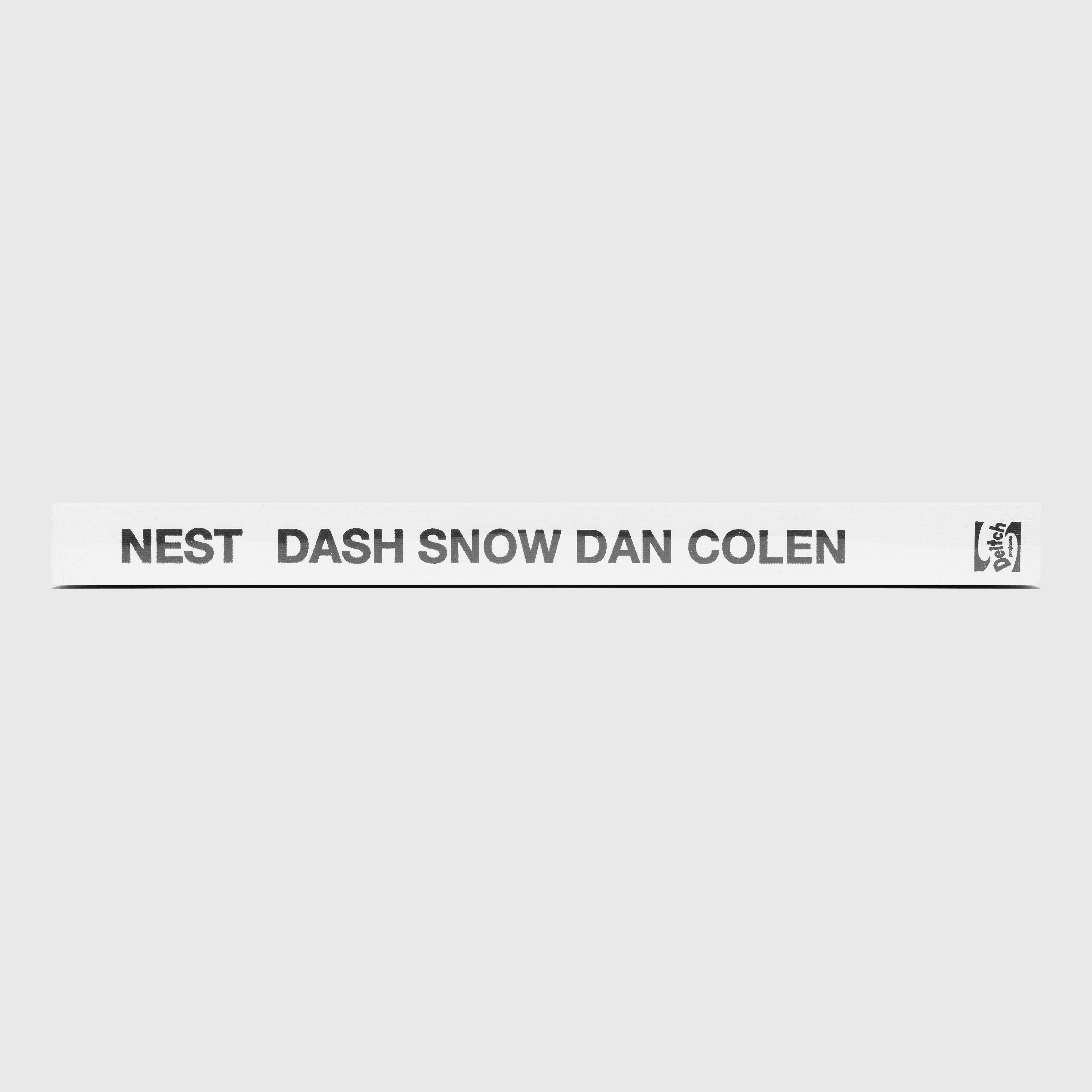 NEST BY DASH SNOW AND DAN COLEN
