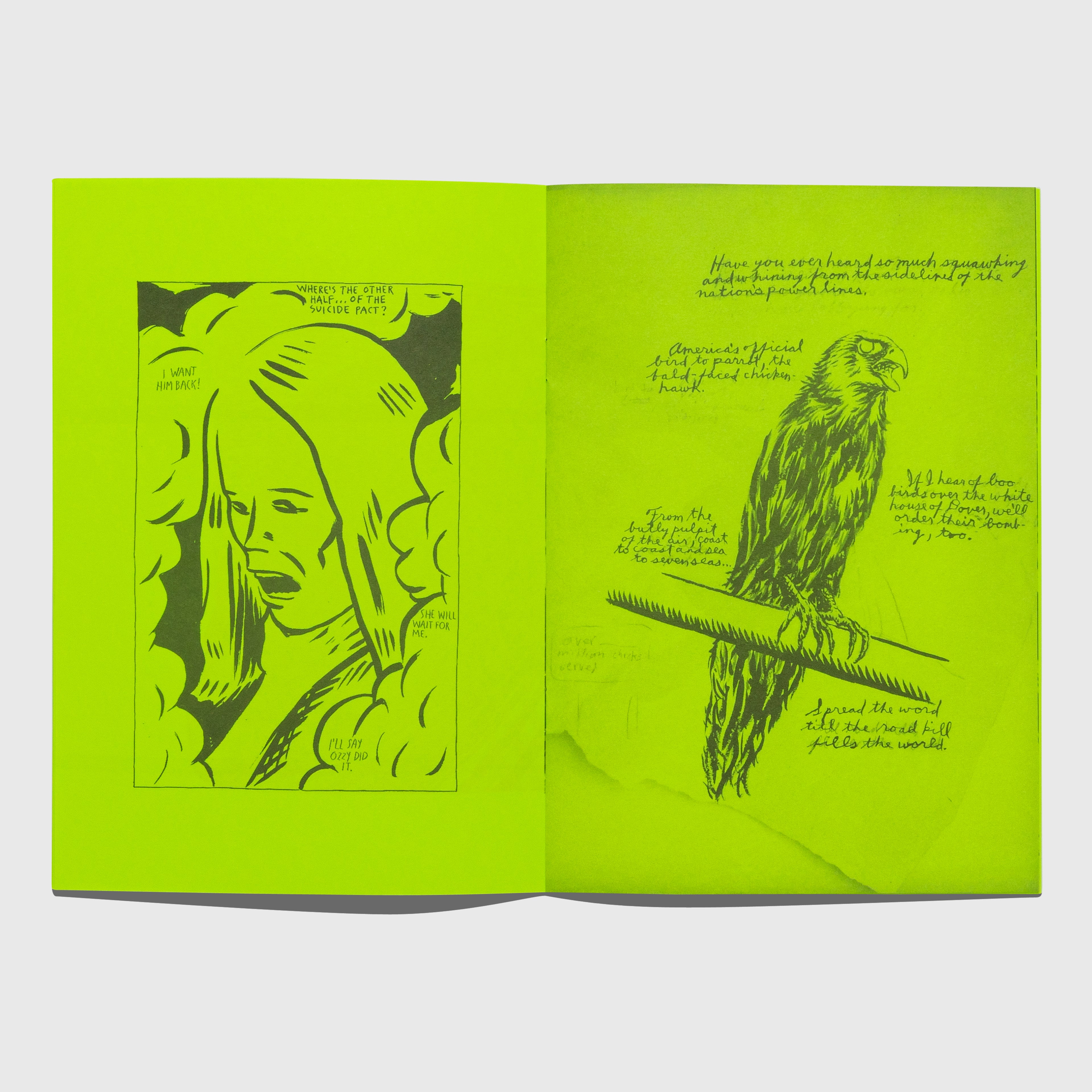 SELECTED WORKS FROM 1982 TO 2011 BY RAYMOND PETTIBON