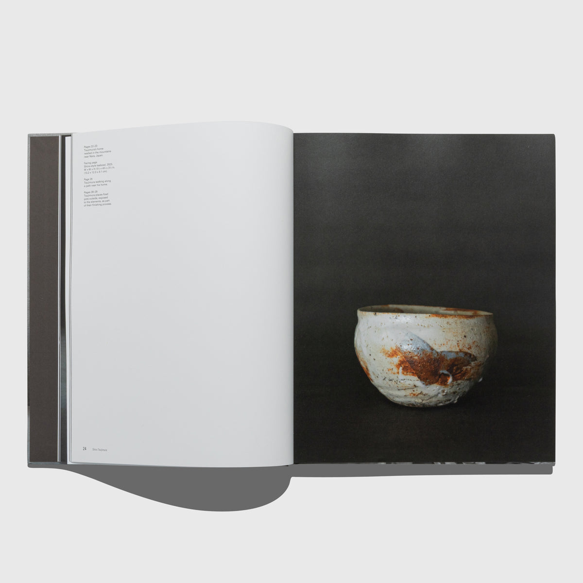 AN ART OF LIVING BY SHIRO TSUJIMURA