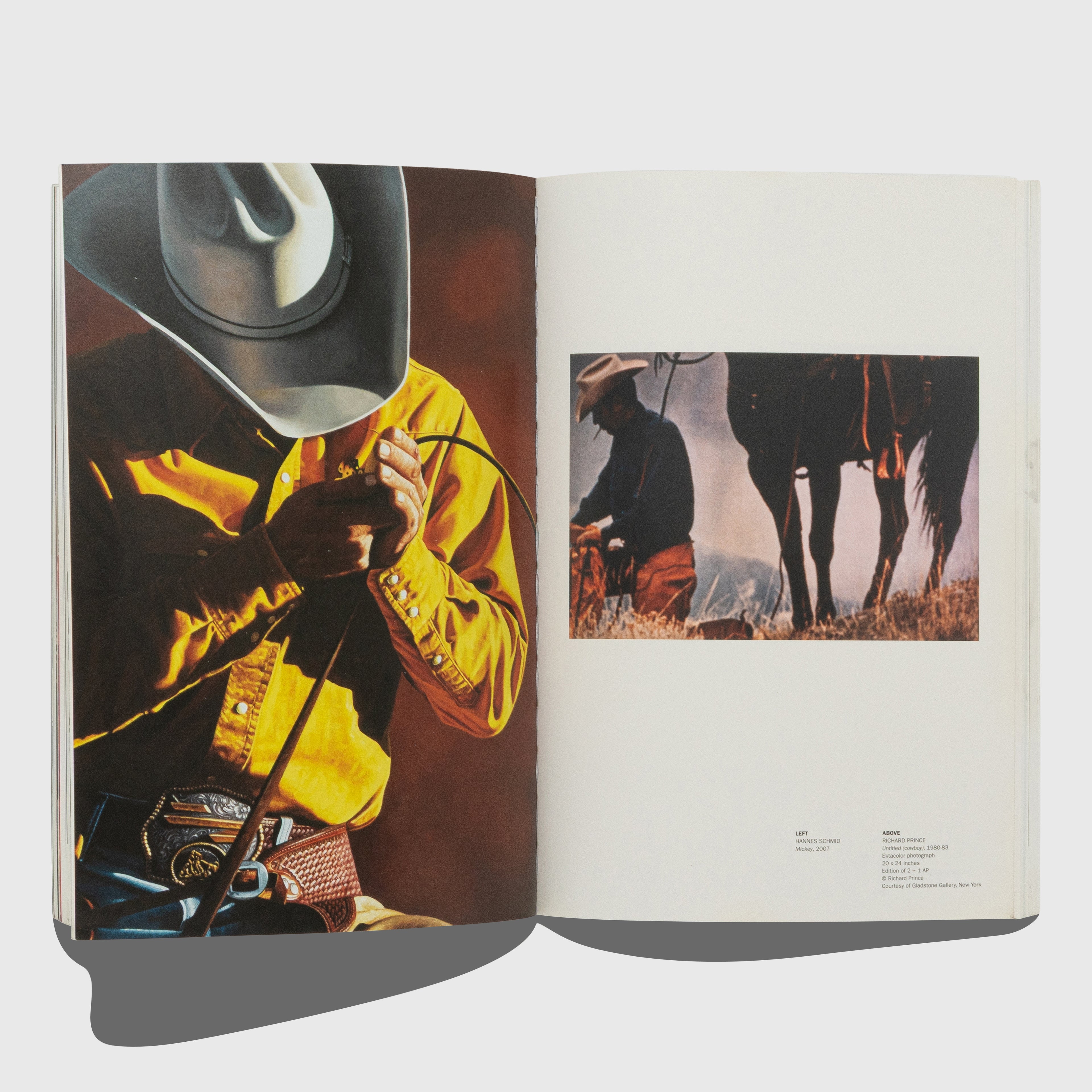 THE JOURNAL CONTEMPORARY CULTURE: ISSUE 25